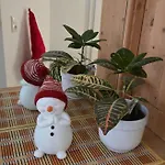 Karos-apartment *