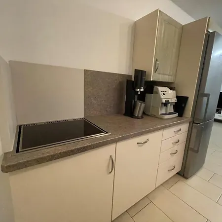 Apartament Karos-apartment Mittersill